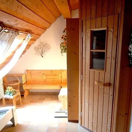 B2 Schwarzwald-ferienwohnung Appartement Menzenschwand-Hinterdorf