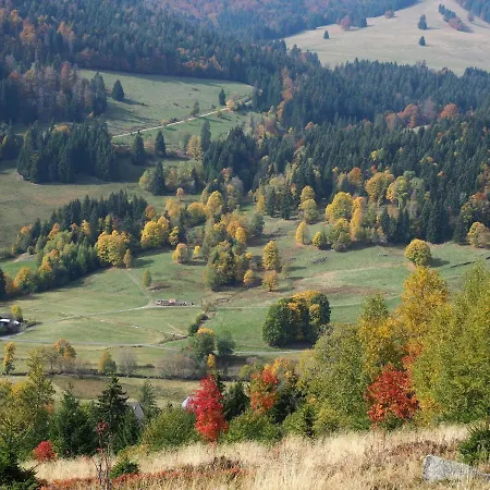 Appartement B2 Schwarzwald-ferienwohnung Menzenschwand-Hinterdorf