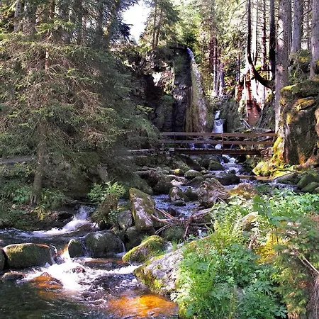 B2 Schwarzwald-ferienwohnung * Menzenschwand-Hinterdorf